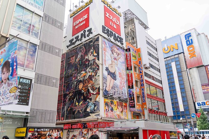 Exclusive Experience: Tailored Anime & Culture Tour in Akihabara - Private Tour Information