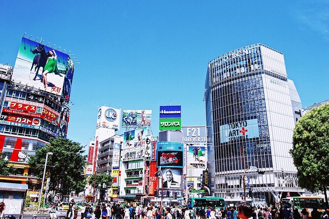 Full-Day Private Guided Tour in Tokyo - Important Tour Directions