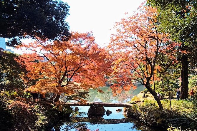 Private Walking Tour, Tokyo Great Buddha, Botanical Garden, Etc. - Cancellation Policy Details