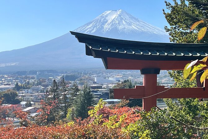 Mt. Fuji Private Sightseeing With Bilingual Chauffeur - Conclusion