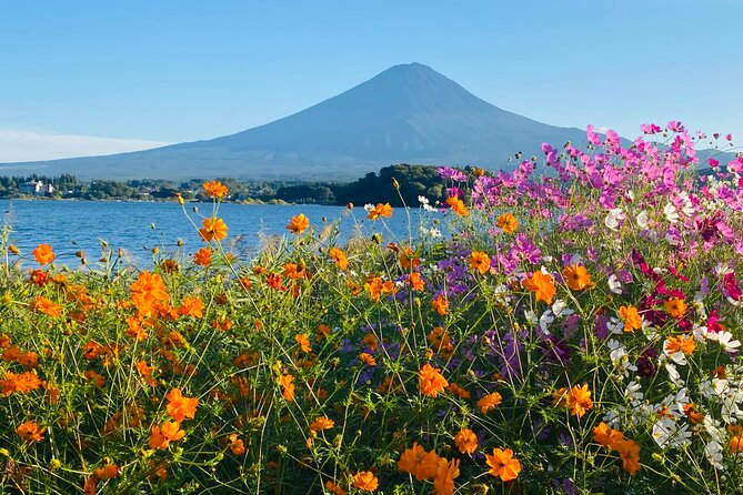 Mt. Fuji Private Sightseeing With Bilingual Chauffeur - Frequently Asked Questions