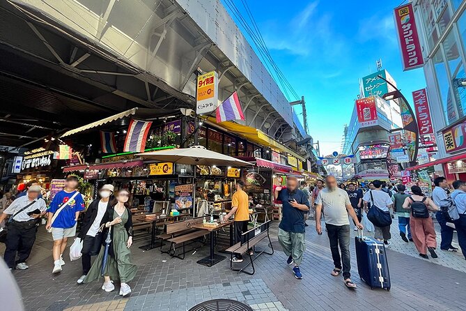 Private Tour in Tokyo With a Local Guide (Walking/Trains) - Additional Information