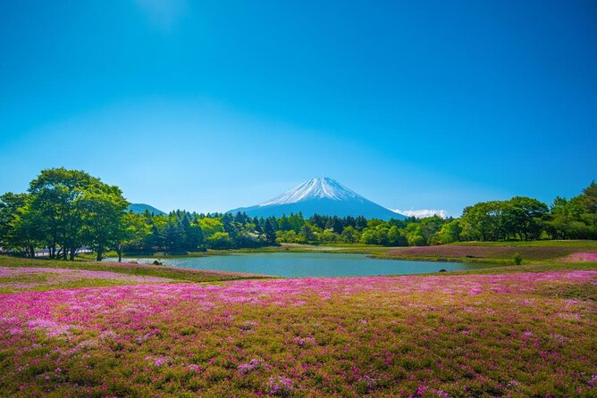 Private Mount Fuji Tour From Narita Airport /Haneda Airport/Tokyo - Cancellation Policy