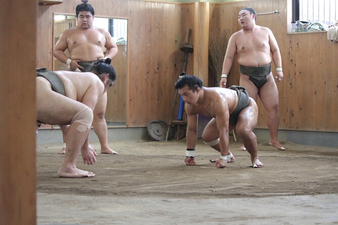 Experience the World of Sumo - Travel Tips