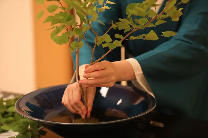 Private Japanese Traditional Flower Arrangement in Tokyo - Accessibility and Amenities