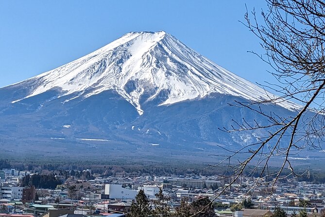 1 Day Private Mt Fuji & Lake Kawaguchiko English Speaking Driver - Reservation and Payment Options