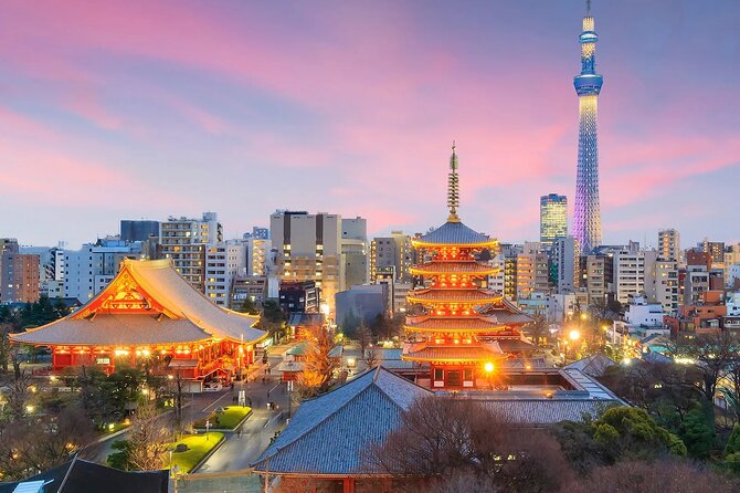 1 Day Private Tokyo Tour With English Speaking Driver - Inclusions and Services