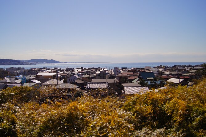 Kamakura Half Day Walking Tour With Local Experience - Itinerary Overview