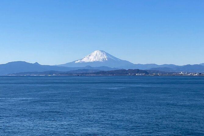 Kamakura & Enoshima 1 Day Bus Tour From Tokyo and Yokohama - Traveler Requirements