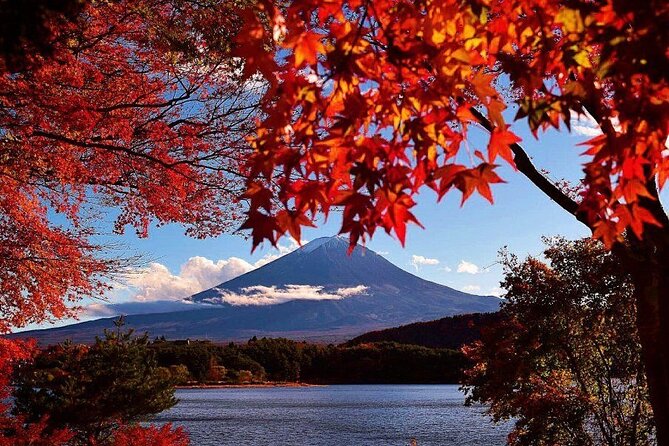 Mt. Fuji View and 2hours+ Free Time at Gotemba Premium Outlets - Arakura Fuji Sengen Visit