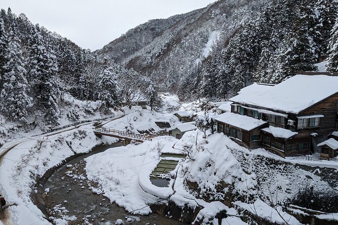 Nagano Snow Monkey 1 Day Tour With Beef Sukiyaki Lunch From Tokyo - Pricing and Reservations