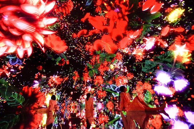 Teamlab Planets Walking Tour With Toyosu Fish Market Buffet Lunch - Buffet Lunch Details