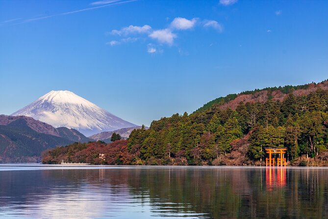 Mt. Fuji and Hakone Day Trip From Tokyo With Bullet Train Option - Pricing and Reservations