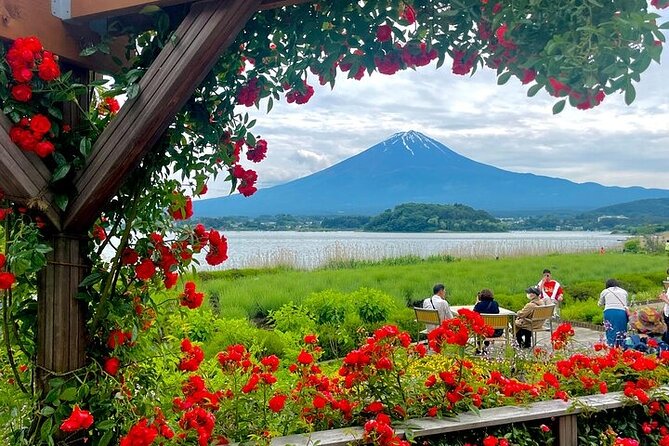 Mount Fuji Private Day Tour With English Speaking Driver - Customer Reviews