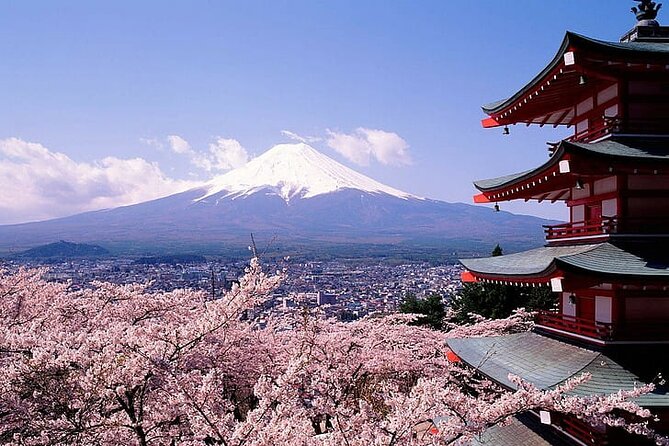 Mount Fuji Private Day Tour With English Speaking Driver - Booking Information