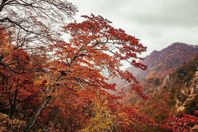 Nikko Private Day Trip With English Speaking Driver - Pricing Details