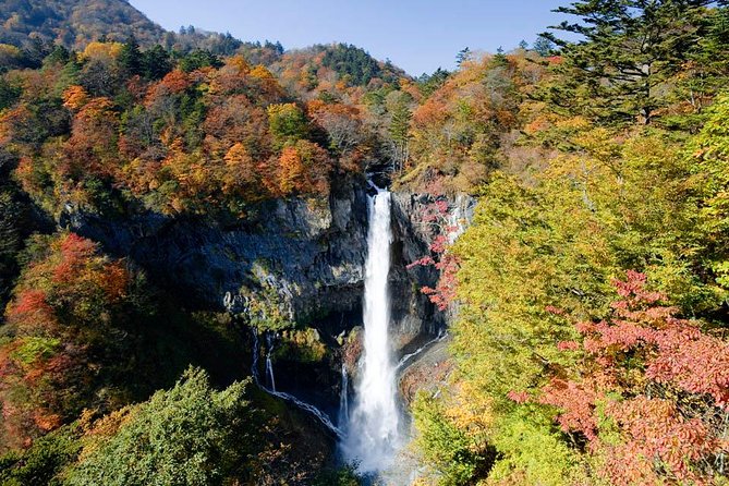 Nikko Tour, From/To Tokyo, Tochigi, up to 12 Guests - Contact Information