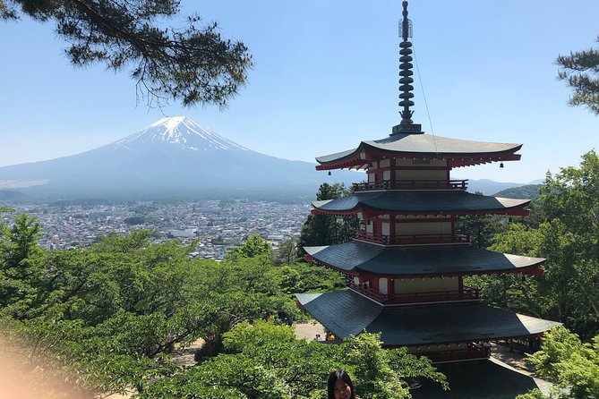 Full Day Mt.Fuji & Hakone To-And-From Tokyo / Kanagawa up to 12 - Cancellation Policy