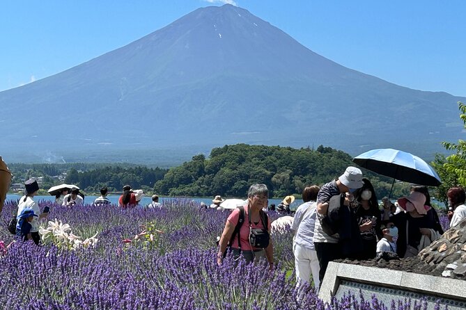 Full Day Mt.Fuji & Hakone To-And-From Tokyo / Kanagawa up to 12 - Frequently Asked Questions