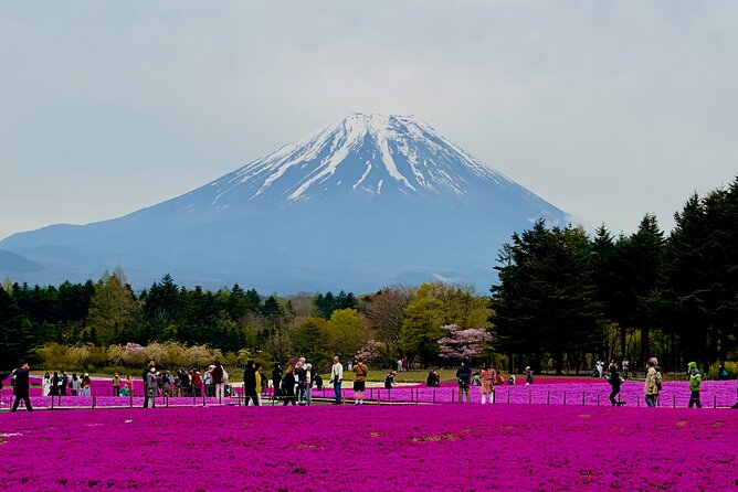 Mt. Fuji & Lake Kawaguchiko Private 1 Day Tour With Pick & Drop - Just The Basics