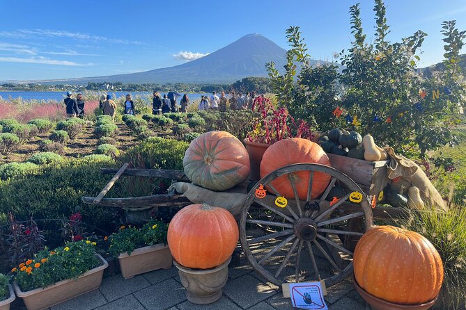 Mt. Fuji & Hakone Pvt. Day Tour With Pick & Drop. - Frequently Asked Questions