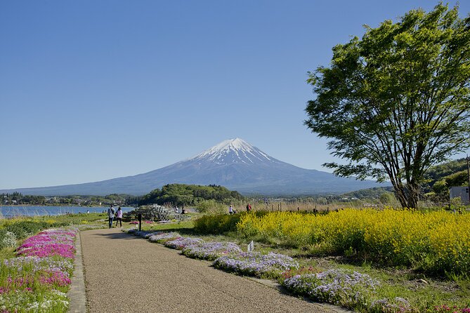 One Day Private Tour of Mt Fuji With English Speaking Driver - Meeting Point Details