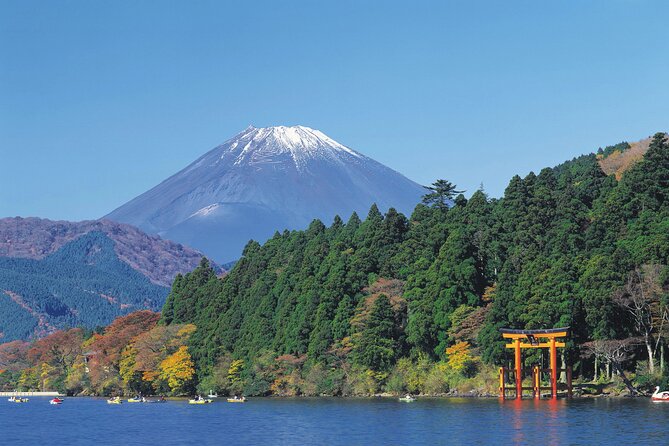 1 Day Private Tour in Mt.Fuji and Hakone English Speaking Driver - Conclusion