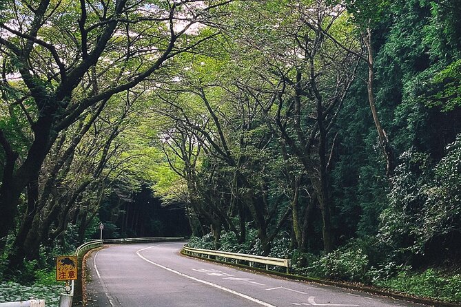 Private Motorcycle Day Tour to Fuji and Hakone: Onsen and Nature - Conclusion