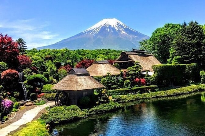 Private Mount Fuji and Hakone Sightseeing Day Trip With Guide - Guides Expertise