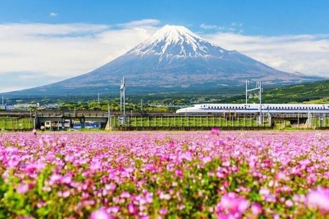 Private Mount Fuji and Hakone Sightseeing Day Trip With Guide - Frequently Asked Questions