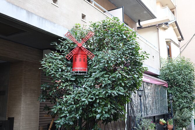 Private Walking Tour at Tokyos Hidden Gem: Kagurazaka - Accessibility Information