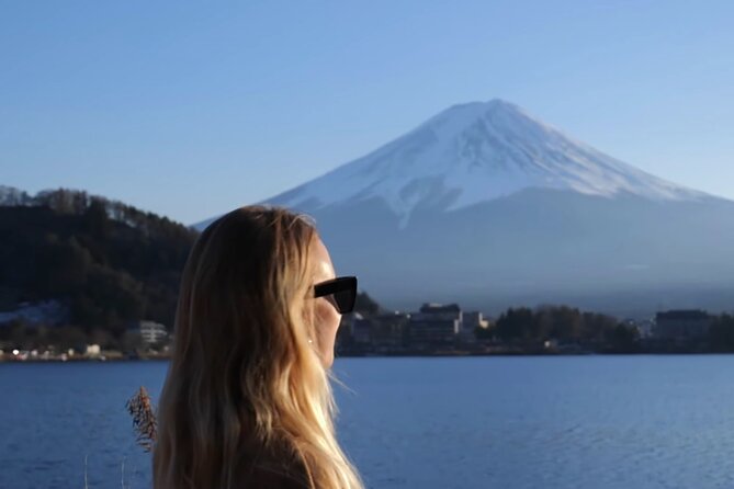 From Tokyo: Mt. Fuji Sightseeing Private Tour With English Guide - Accessibility and Amenities