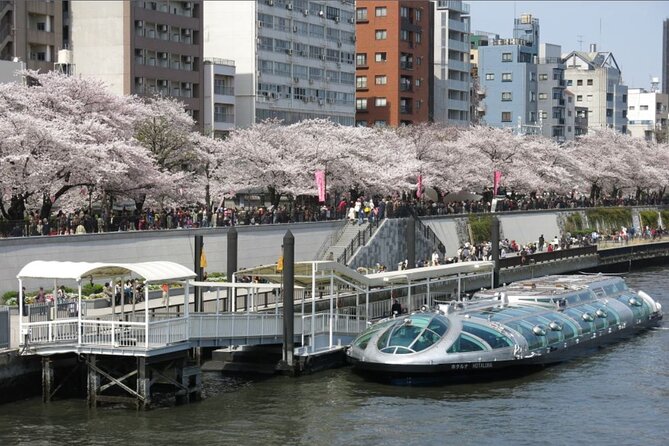 Full Day Sightseeing Private Tour in Tokyo With Guide - Cancellation Policy