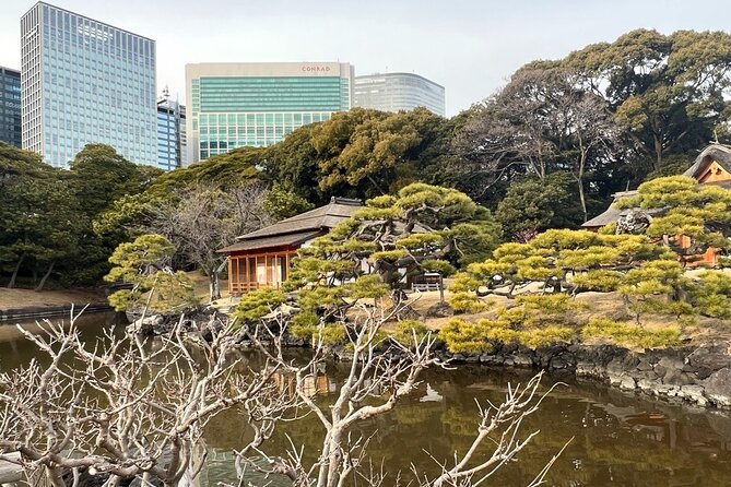 Hama Rikyu Gardens and Surroundings Guided Waking Tour - Garden Highlights and Matcha Experience