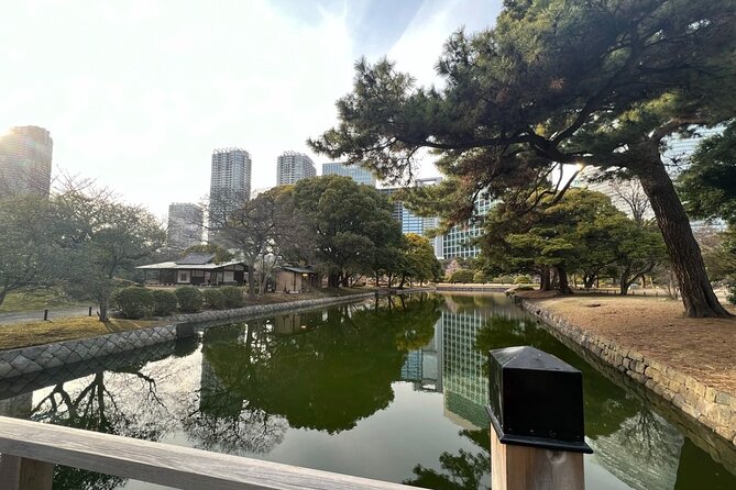 From Shimbashi to Hama Rikyu Gardens Walking Tour - Price