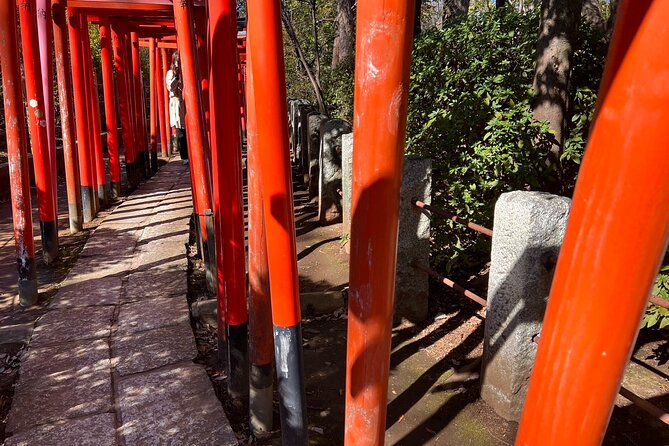 Old Tokyo History and Transition Small Group Walking Tour - Cultural Immersion