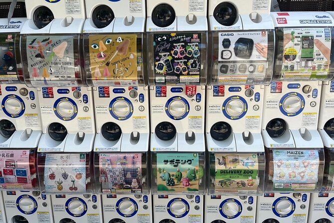 Guided Tour Exploring Anime and Electronics in Akihabara - Tour Conclusion