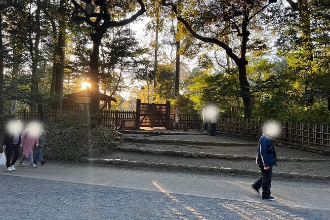 1 Hour Meiji Jingu Shrine Walking Tour in Harajuku - Meeting Point