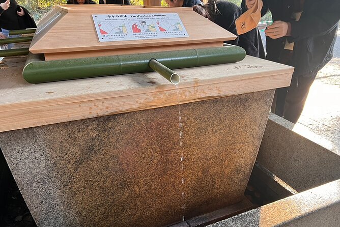 1 Hour Meiji Jingu Shrine Walking Tour in Harajuku - Accessibility