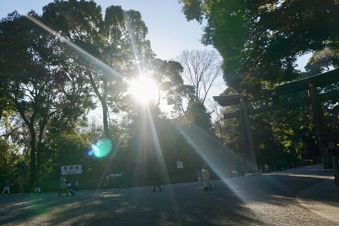 Harajuku Meiji Shrine 1 Hour Explanation Tour - Key Highlights