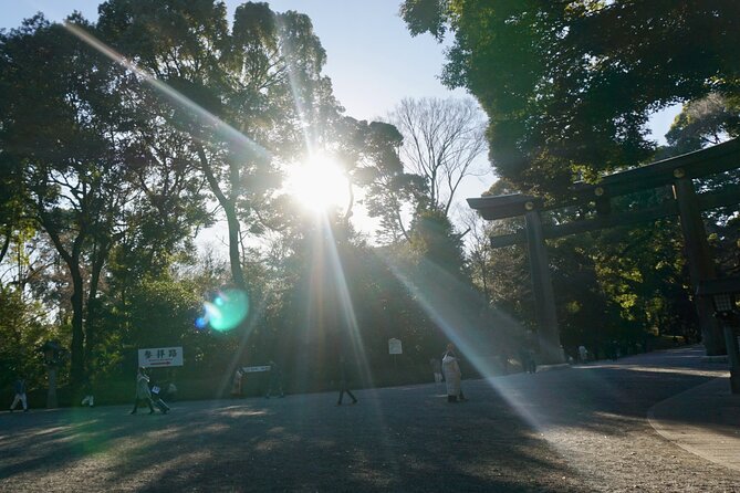 Harajuku From Meiji Shrine to Shibuya Crossing 2 Hours - Conclusion