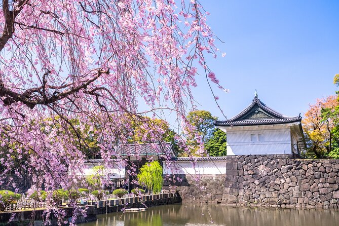 Imperial Palace History Private Walking Tour at Chiyoda - Key Takeaways