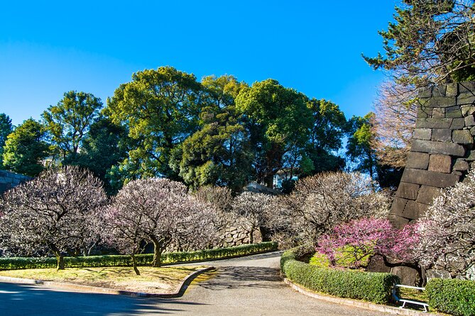 Imperial Palace History Private Walking Tour at Chiyoda - Inclusions and Meeting Point