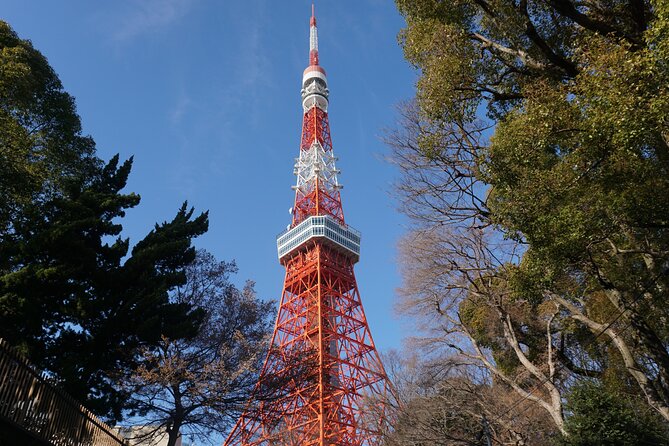 Tokyo Tower Secret Photo Spot and Skyline Tour - Directions and Logistics