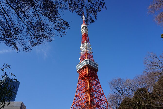 Tokyo Tower Secret Photo Spot and Skyline Tour - Tour Operator Information