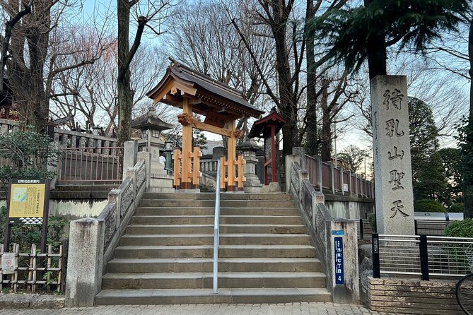 Unique Japanese Shrines and Temples and Sky Tree View Tour - Pricing Information