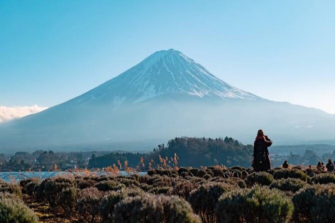 Full Day Private Tour With English Speaking Driver in Mount Fuji - Pickup Details