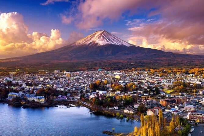 Mount Fuji and Hakone Private Tour With English Speaking Driver - Inclusions and Exclusions