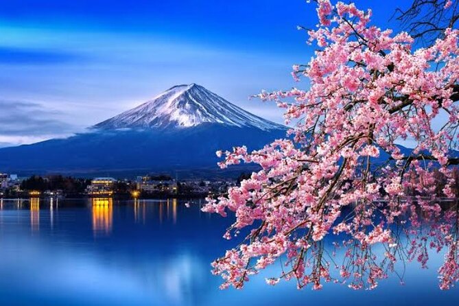 Mount Fuji and Hakone Private Tour With English Speaking Driver - Pickup and Departure Information