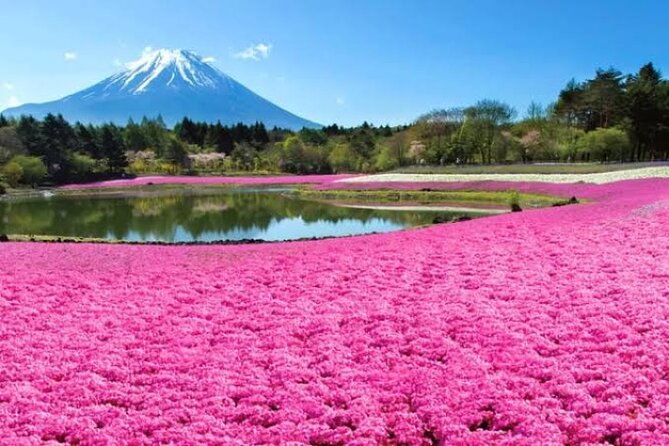 Mount Fuji and Hakone Private Tour With English Speaking Driver - Cancellation and Refund Policy